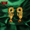 Stylish Gold Plated Shrimoyee Full Kaan image 0