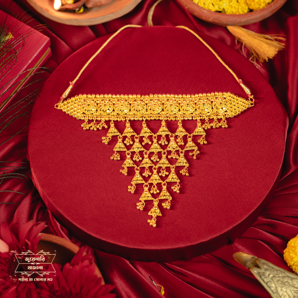 Exclusive Gold Plated Moushila Choker with Earrings